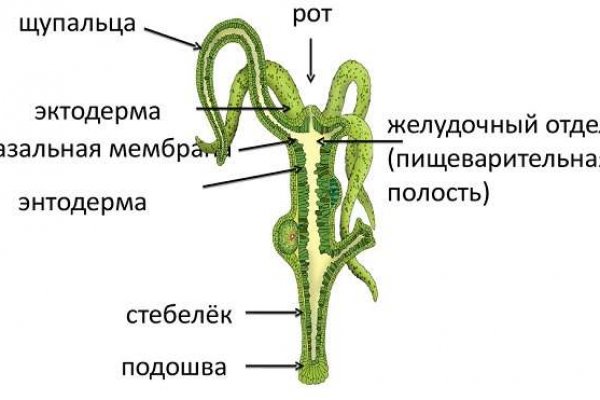 Hydra маркетплейс